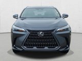 New 2025 Lexus NX 350 AWD w/ Accessory Package (2T) image 2