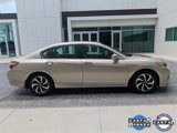 Used 2017 Honda Accord EX-L image 3