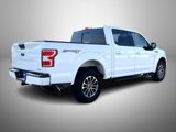 Used 2019 Ford F150 XLT w/ Equipment Group 302A Luxury image 5