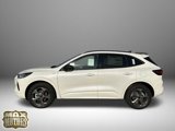 New 2024 Ford Escape ST-Line w/ Tech Pack #1 image 4