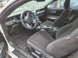 Used 2021 Ford Mustang Coupe image 4