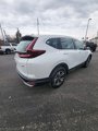 Used 2022 Honda CR-V Special Edition image 6