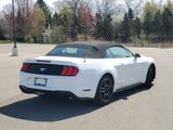 Used 2022 Ford Mustang Premium image 2