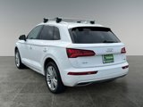 Used 2019 Audi Q5 2.0T Premium Plus w/ Premium Plus Package image 5