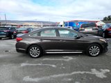 Used 2017 Hyundai Sonata Limited w/ Cargo Package image 2