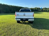 Used 2014 Ford F150 Limited image 6