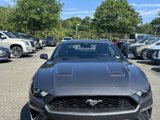 Used 2023 Ford Mustang Coupe image 2