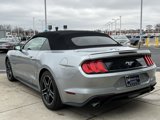 Used 2022 Ford Mustang Premium image 4