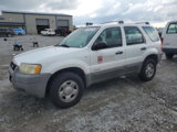 Used 2001 Ford Escape XLS image 3