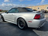 Used 2001 Ford Mustang GT image 5