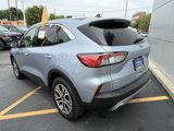 Certified 2022 Ford Escape SEL image 5