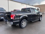 Used 2015 Ford F150 XLT w/ Equipment Group 302A Luxury image 5