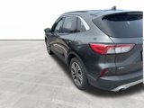 Used 2020 Ford Escape SEL image 4
