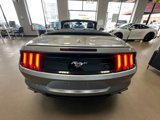 Used 2020 Ford Mustang Premium image 6
