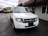 Used 2011 Ford Escape XLT w/ 201A Rapid Spec Order Code image 2