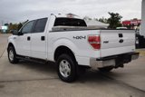 Used 2013 Ford F150 XLT image 5