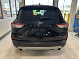Used 2020 Ford Escape Titanium image 6
