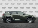 Used 2021 Lexus NX 300h AWD w/ Premium Package image 3