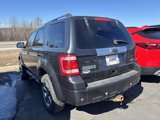Used 2009 Ford Escape Limited image 4