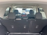 New 2024 Ford Bronco Sport Free Wheeling w/ Convenience Package image 4