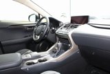 Certified 2021 Lexus NX 300 FWD w/ Premium Package image 5