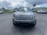 Used 2013 Ford F150 Platinum image 4