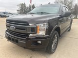 Used 2020 Ford F150 XLT w/ Equipment Group 302A Luxury image 3