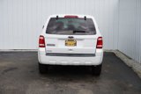 Used 2010 Ford Escape XLS image 5