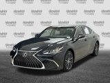Certified 2025 Lexus ES 350 w/ Premium Package image 5