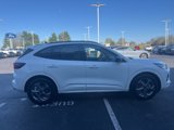 Used 2023 Ford Escape ST-Line w/ Tech Pack #1 image 6