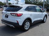 Used 2020 Ford Escape SE image 4