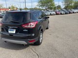 Used 2014 Ford Escape SE w/ Equipment Group 201A image 4