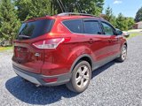 Used 2014 Ford Escape SE w/ Equipment Group 201A image 4
