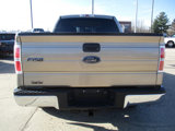 Used 2013 Ford F150 XLT w/ Mid Equipment Group image 5