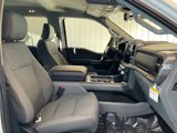 New 2024 Ford F150 XLT w/ Equipment Group 302A MID image 6