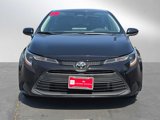 Certified 2024 Toyota Corolla LE image 2