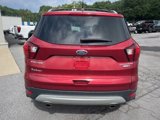 Used 2019 Ford Escape Titanium image 6