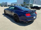 Used 2019 Ford Mustang Premium w/ Ecoboost Performance Package image 5
