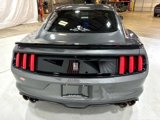 Used 2016 Ford Mustang Shelby GT350 w/ Track Package image 4