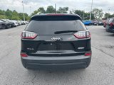 Used 2019 Jeep Cherokee Latitude Plus w/ Cold Weather Group image 6