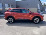 Used 2020 Ford Escape SEL image 4