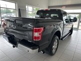 Used 2019 Ford F150 XLT w/ Equipment Group 302A Luxury image 4