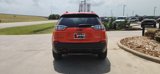 Used 2021 Jeep Cherokee Trailhawk image 6