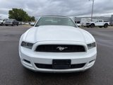 Used 2014 Ford Mustang Premium w/ Equipment Group 201A image 2
