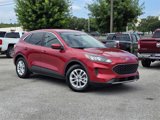 Used 2020 Ford Escape SE image 2