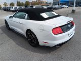 Used 2020 Ford Mustang Premium image 3
