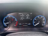 Used 2022 Ford Bronco Sport Big Bend w/ Convenience Package image 3