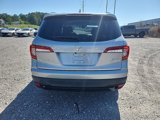 Used 2021 Honda Pilot Special Edition image 6