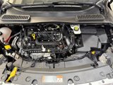 Used 2019 Ford Escape SEL image 6