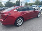 Used 2023 Cadillac CT5 Luxury w/ Sun And Sound Package image 5